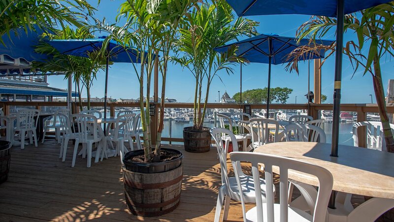 Patio dining area with seating and palm trees